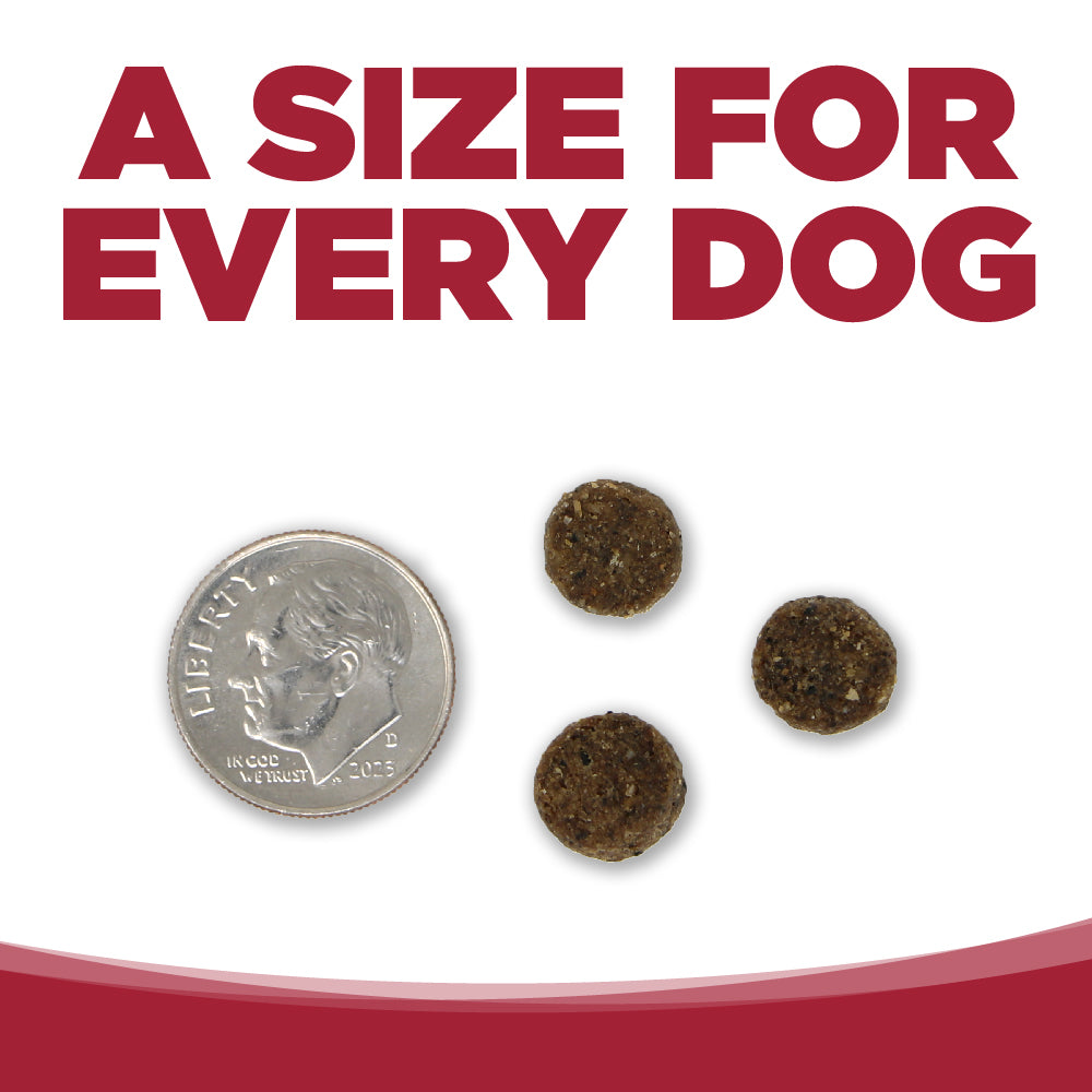 A SIZE FOR EVERY DOG
