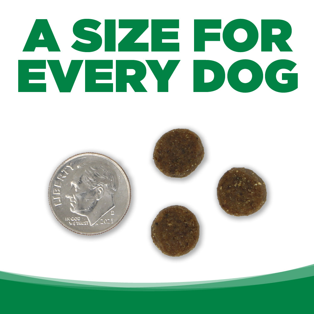 A SIZE FOR EVERY DOG