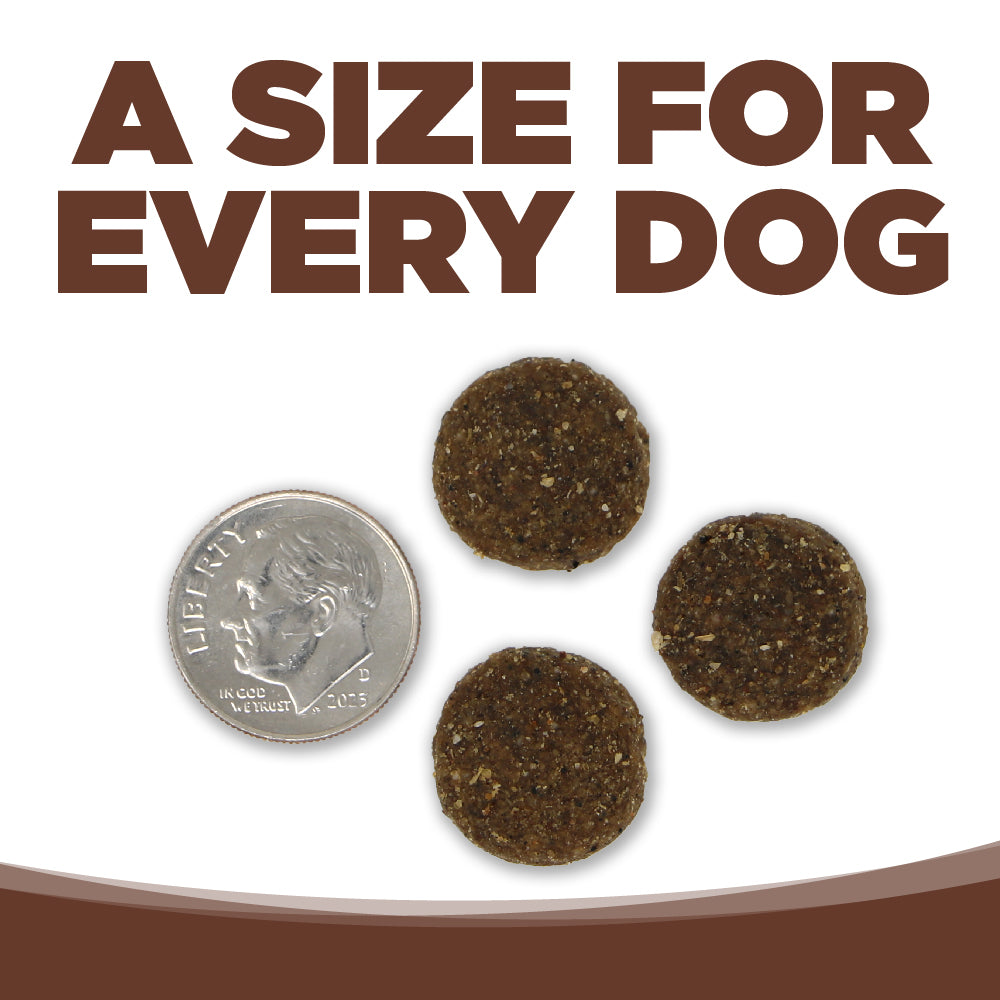 A SIZE FOR EVERY DOG