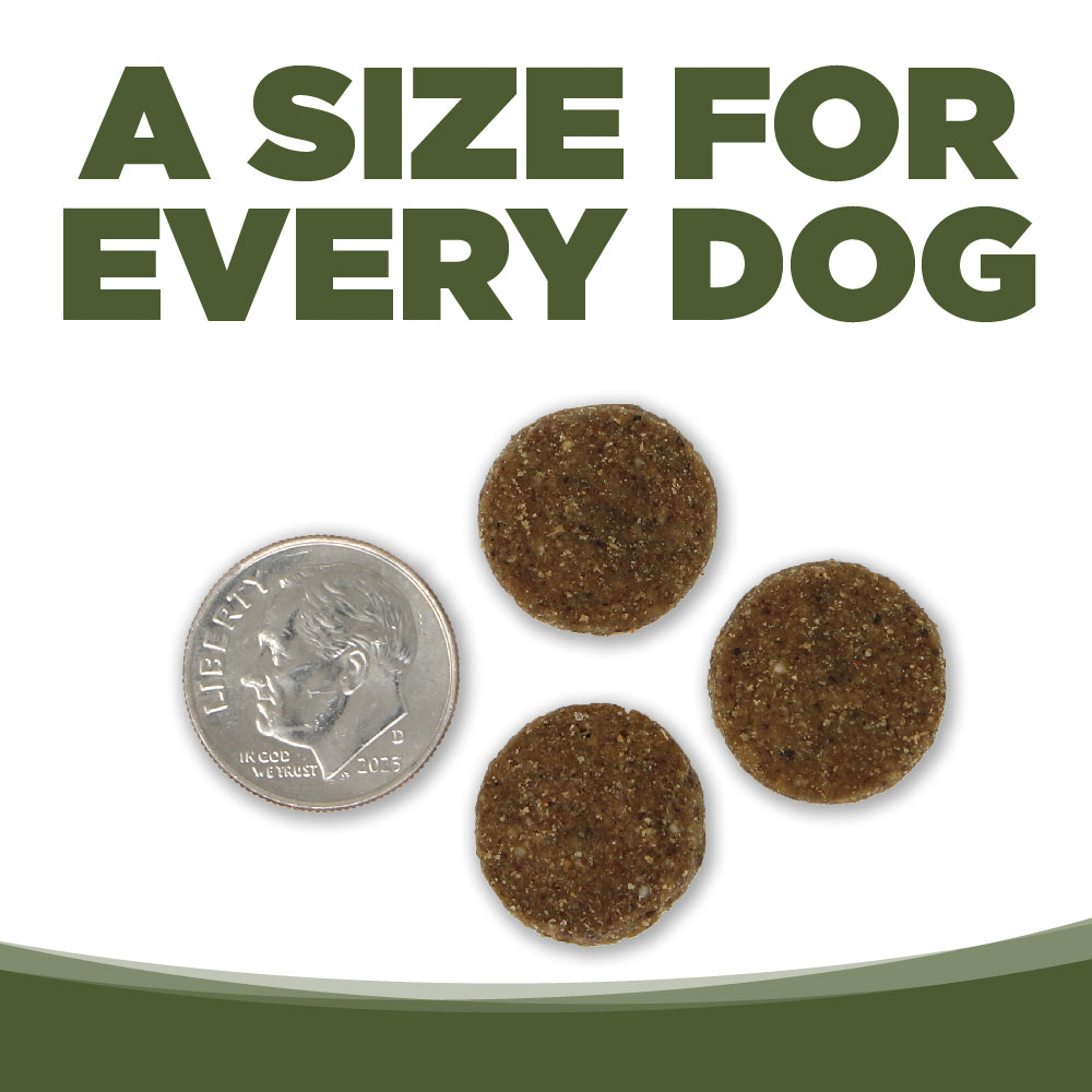 A SIZE FOR EVERY DOG