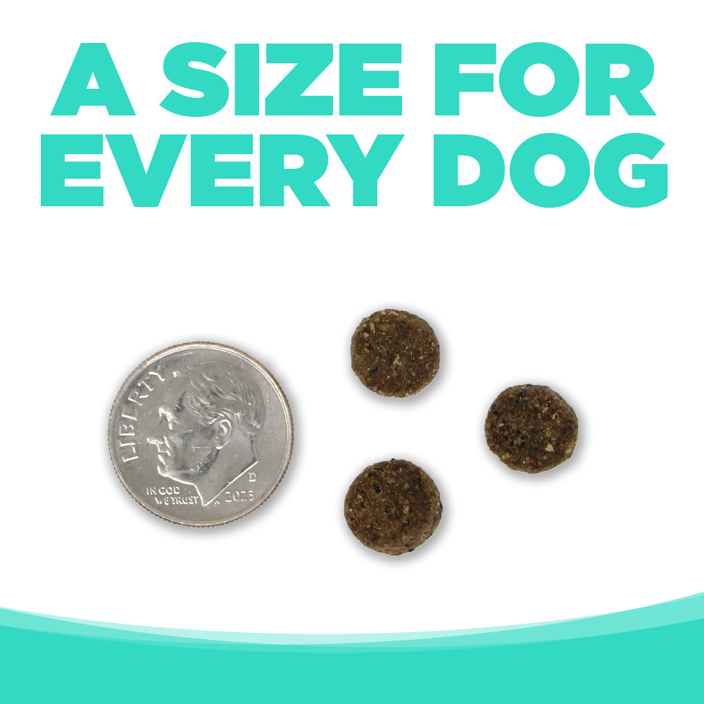 A SIZE FOR EVERY DOG