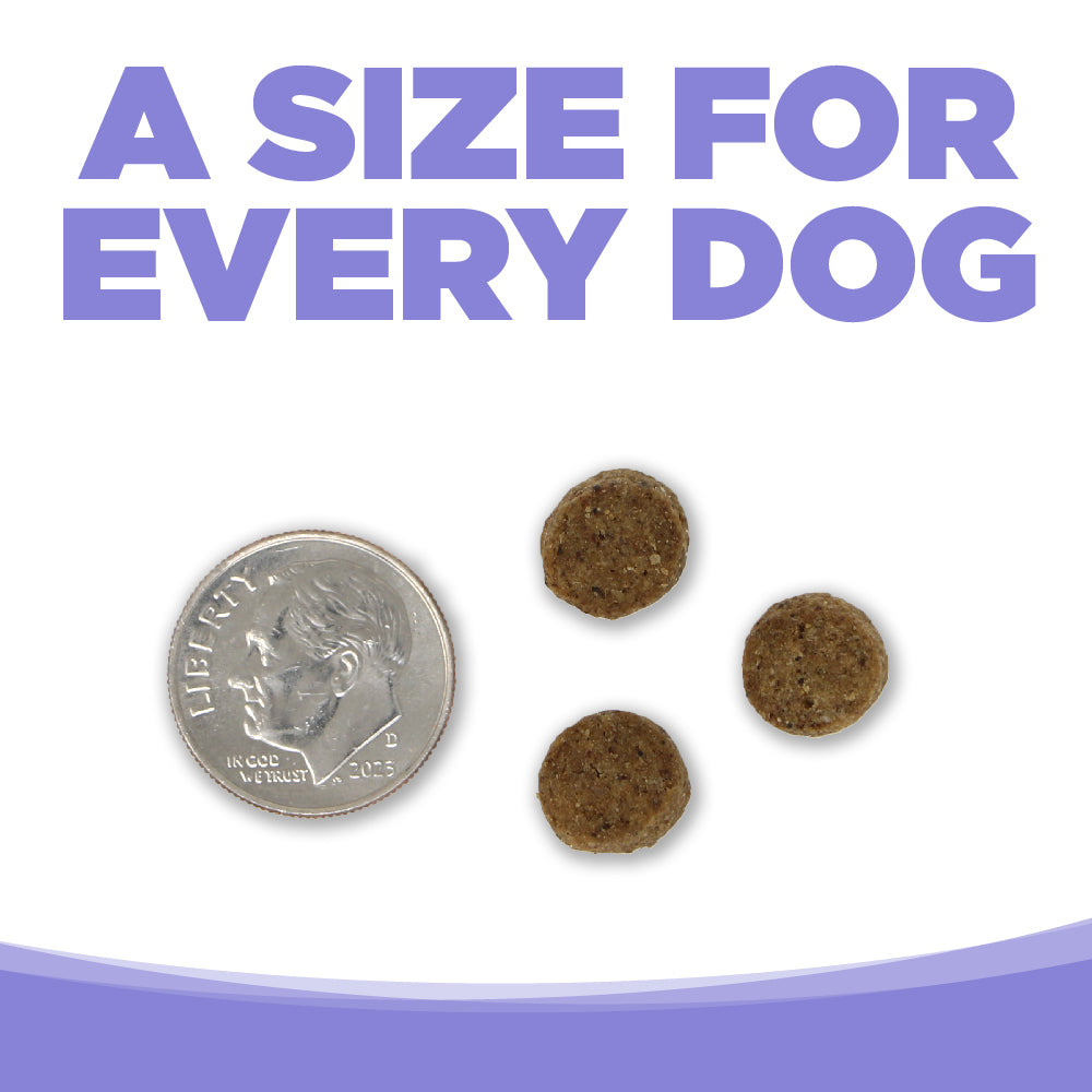 A SIZE FOR EVERY DOG