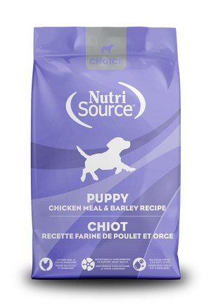 Chicken Puppy