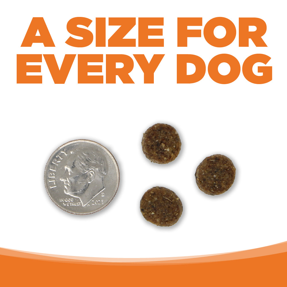 A SIZE FOR EVERY DOG