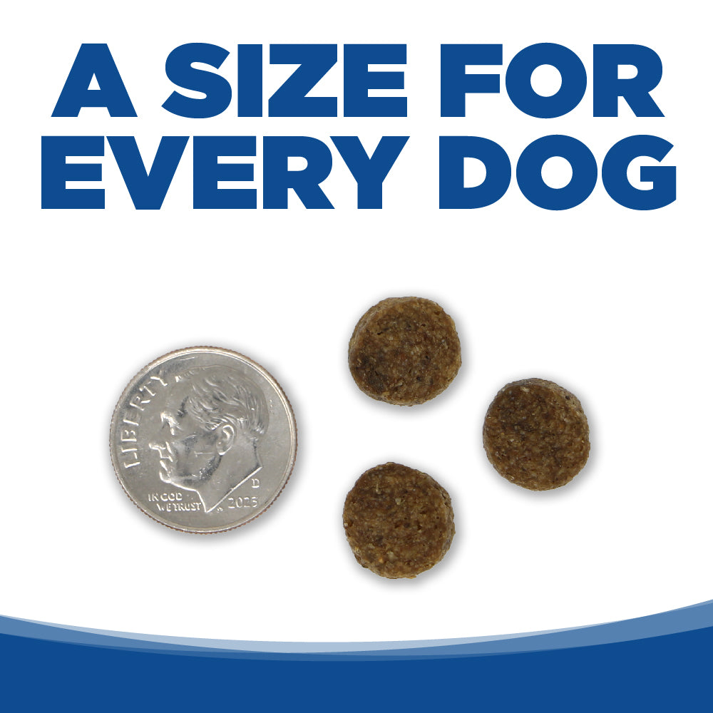 A SIZE FOR EVERY DOG