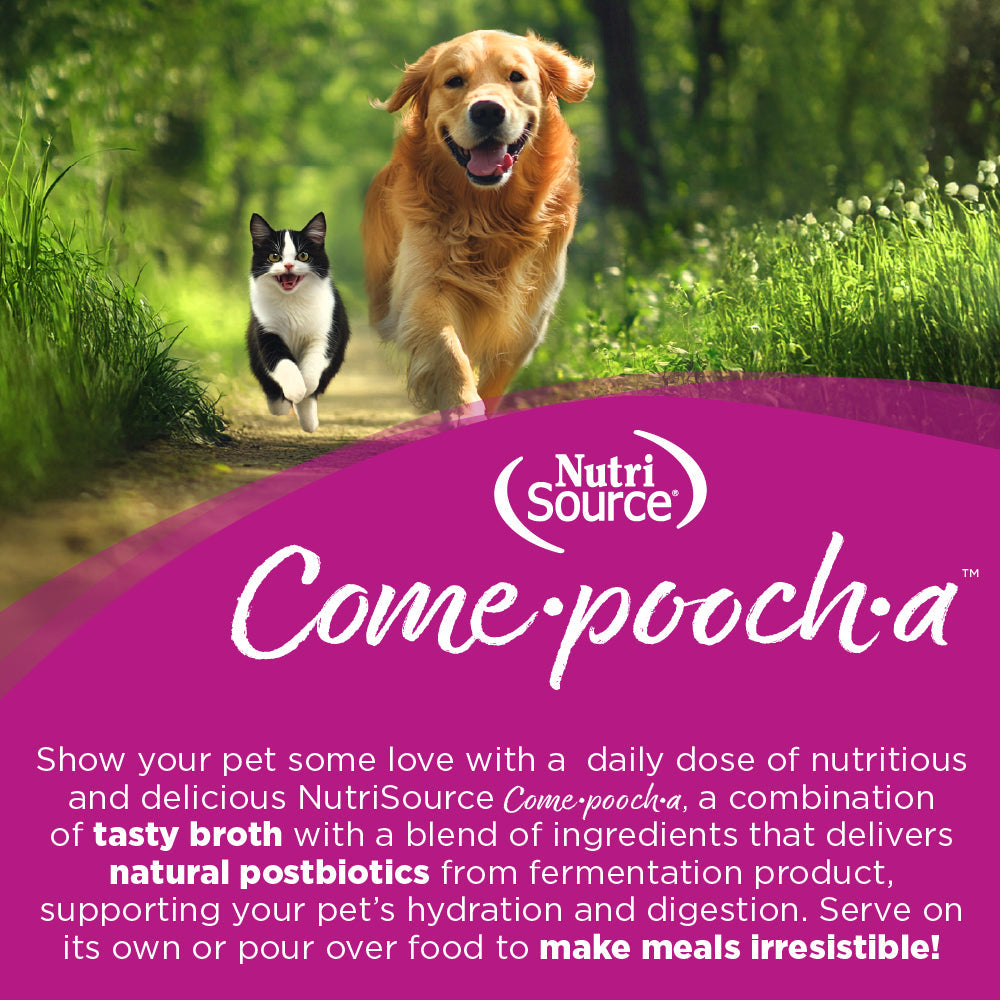 Dog and cat running together with NutriSource Come-pooch-a product text overlay.