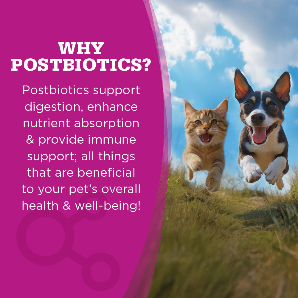 Why Postbiotics? - Postbiotics support digestion, enhance nutrient absorption, & provide immune support.