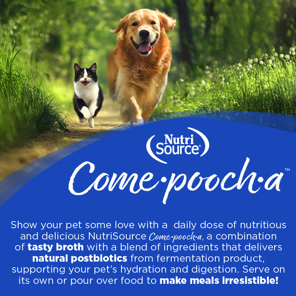 Dog and cat running together with NutriSource Come-pooch-a product text overlay.
