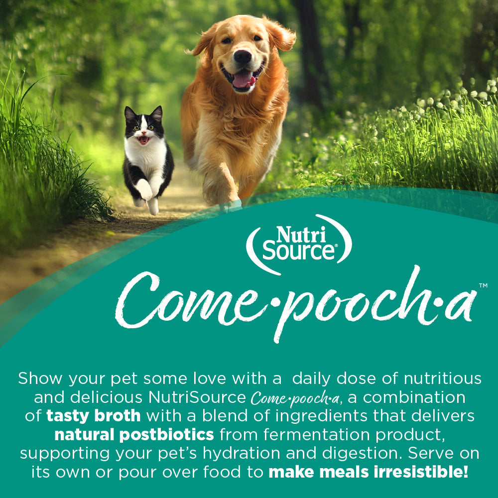 Dog and cat running together with NutriSource Come-pooch-a product text overlay.