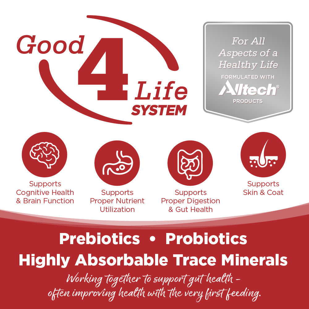 Good4Life System - Prebiotics, Probiotics, Highly Absorbable Trace Minerals