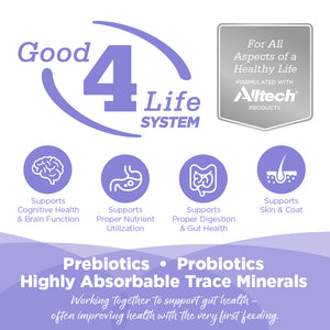Advertisement for Good 4 Life System with Altech branding and health benefits listed.