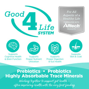 Advertisement for Good 4 Life System with Altech branding and health benefits listed.