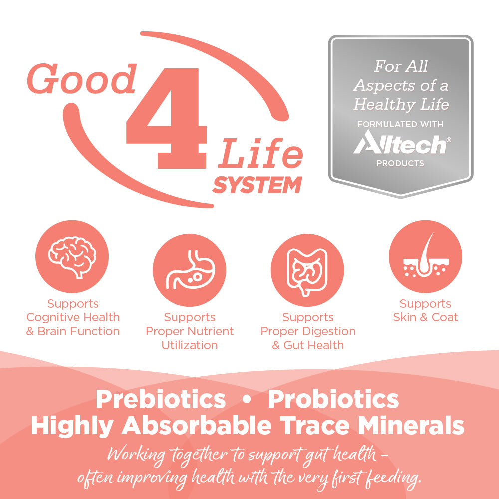 Advertisement for Good 4 Life System with Altech branding and health benefits listed.