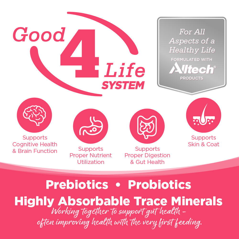 Good4Life System - Prebiotics, Probiotics, Highly Absorbable Trace Minerals