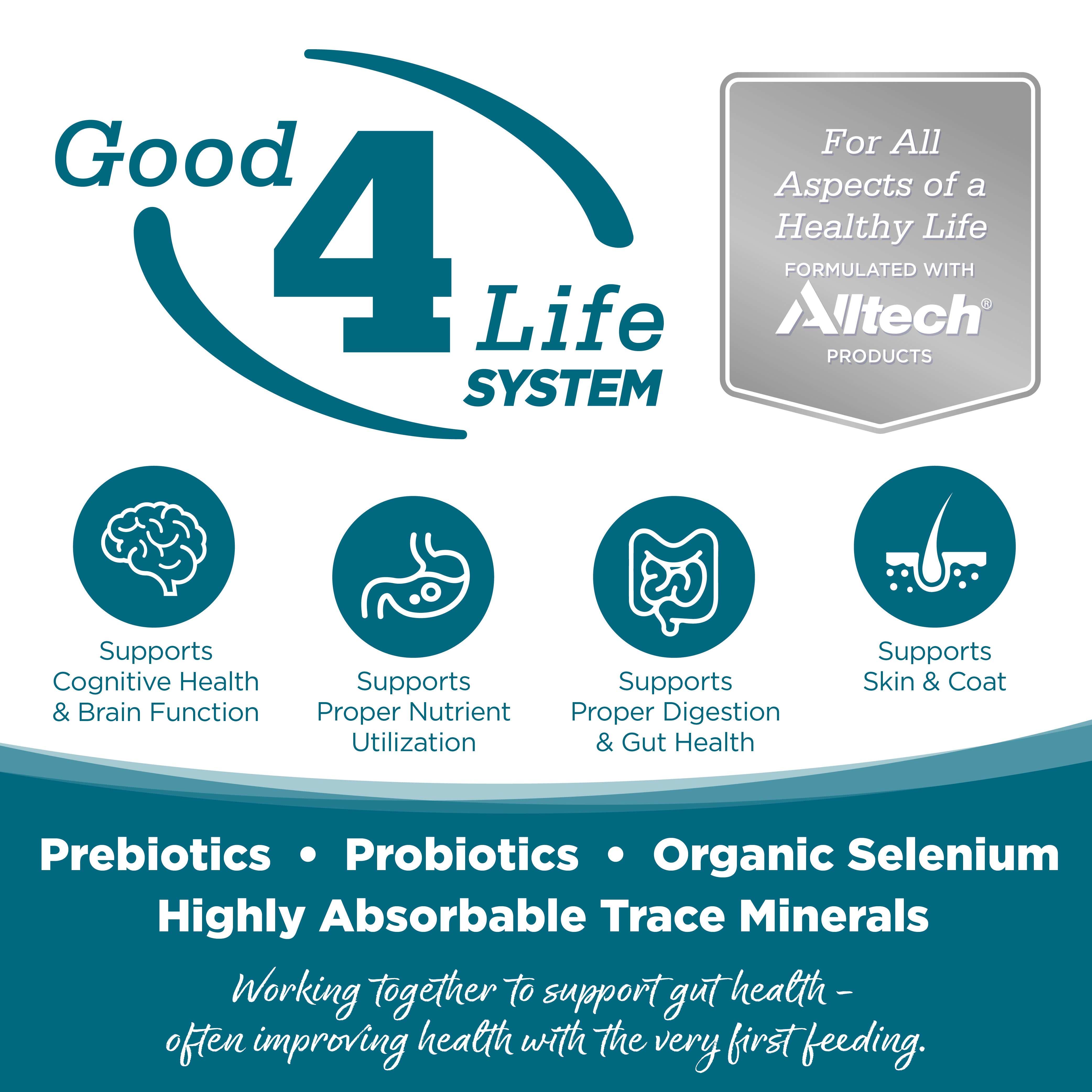 Good 4 Life System