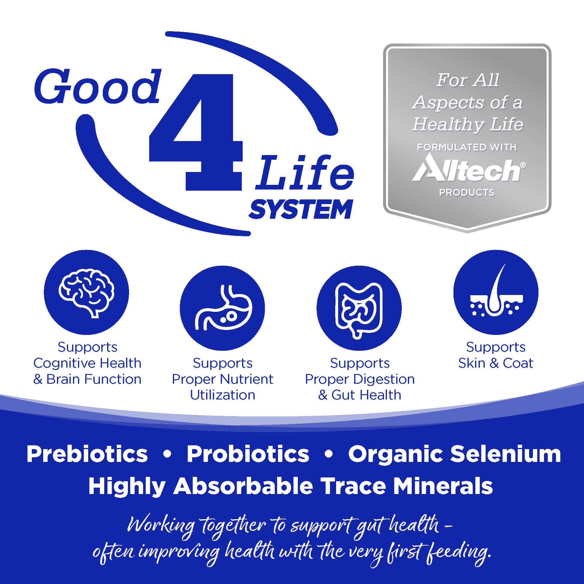 Good 4 Life: Our proprietary Good 4 Life system includes 4 key ingredients that work together to support gut health and the well-being of your pet.