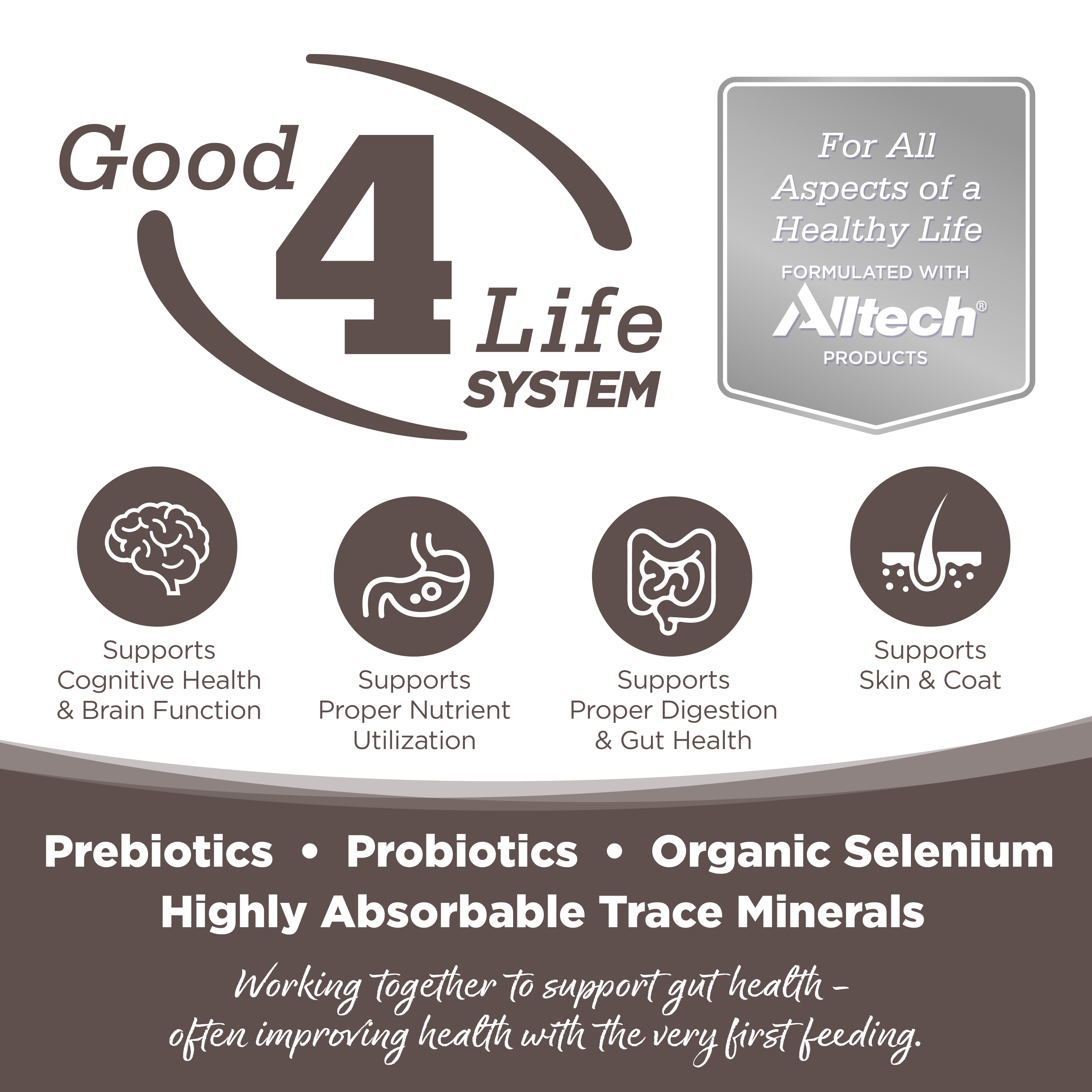 Good4Life System