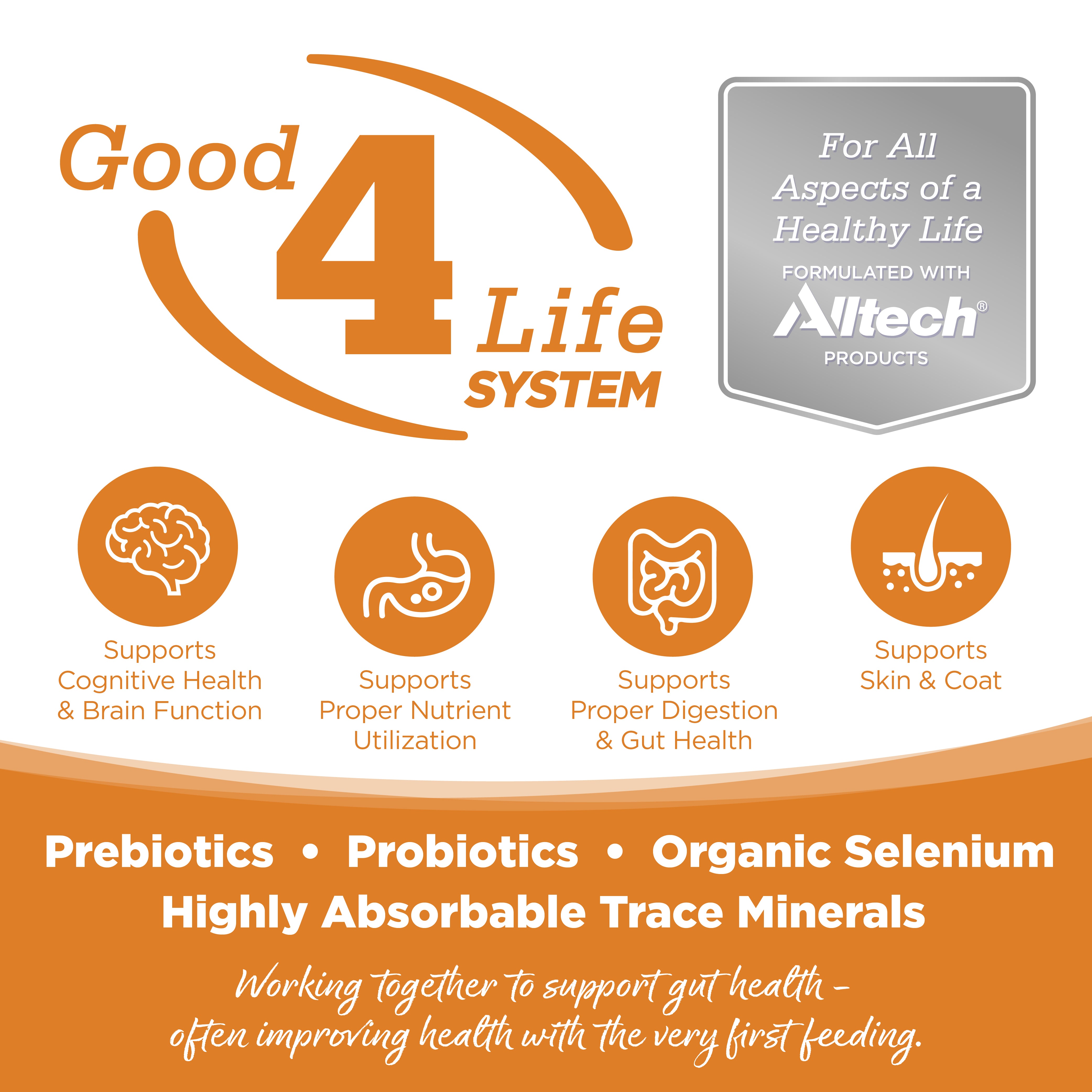 Good 4 Life System