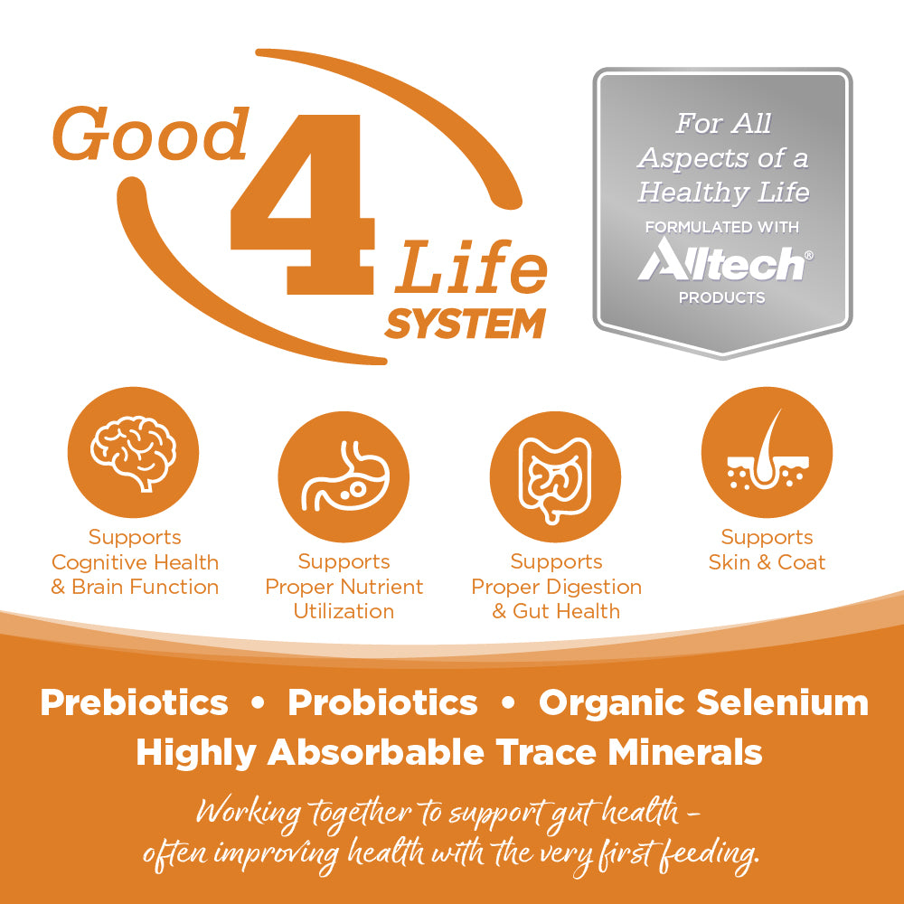 Good 4 Life System
