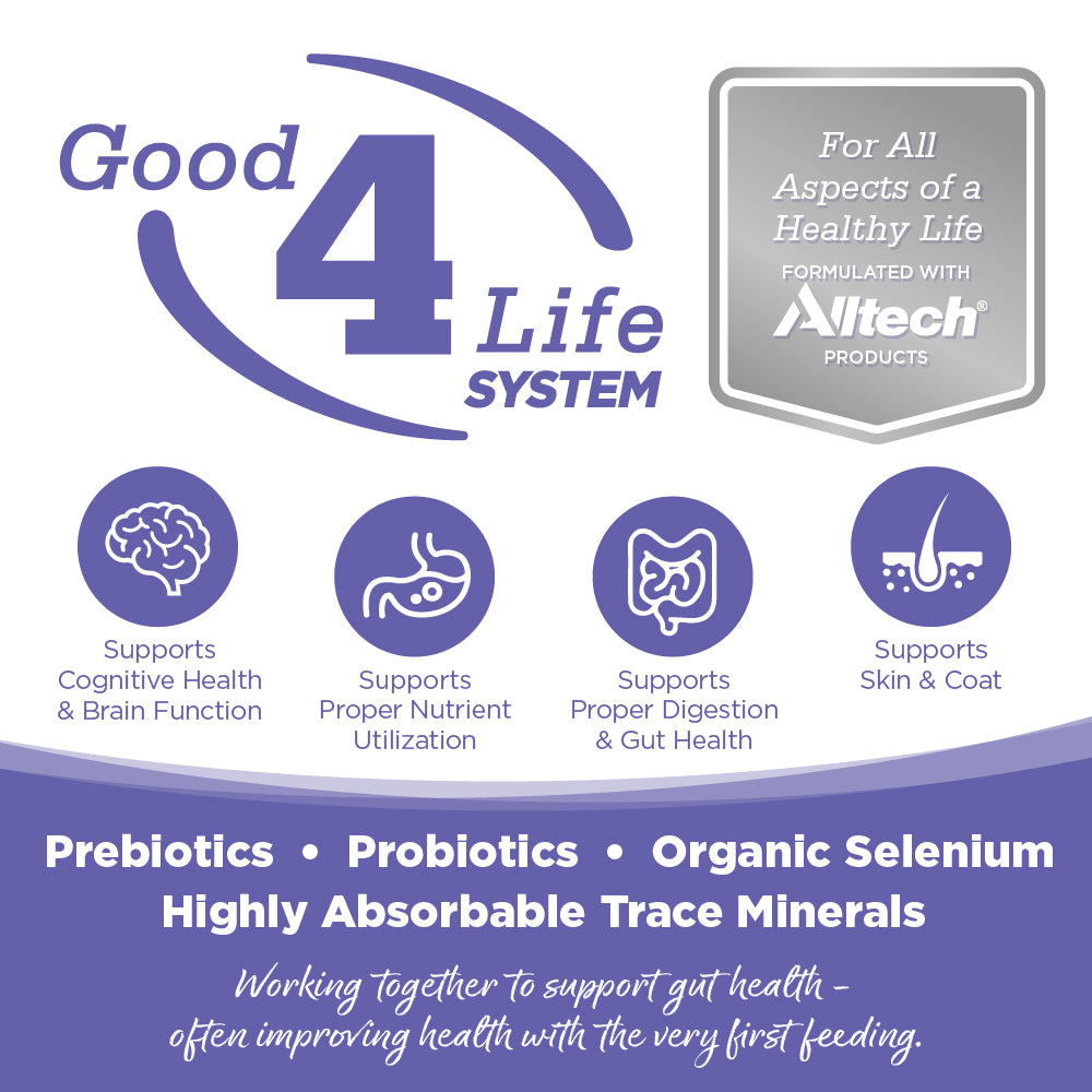 Good 4 Life: Our proprietary Good 4 Life system includes 4 key ingredients that work together to support gut health and the well-being of your pet.