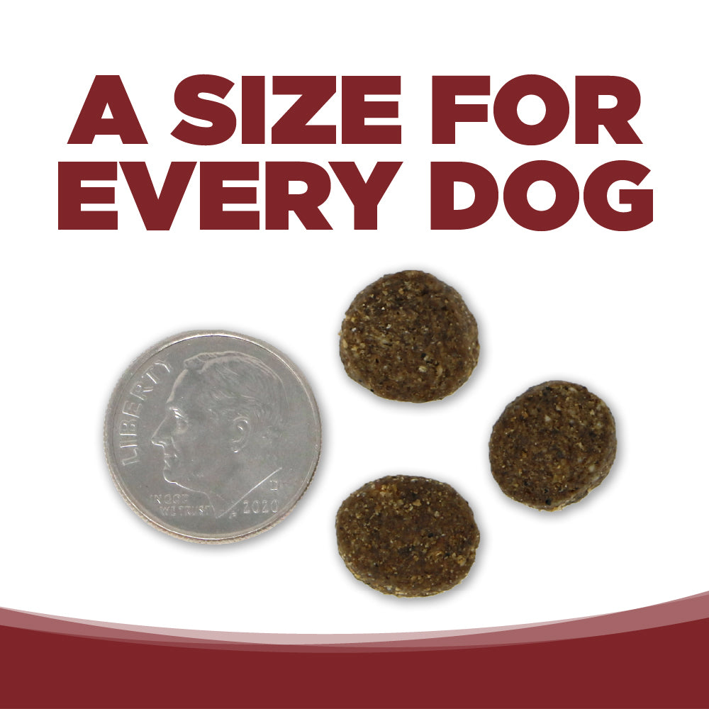 Dog treats next to a dime with text 'A Size for Every Dog' on a white background