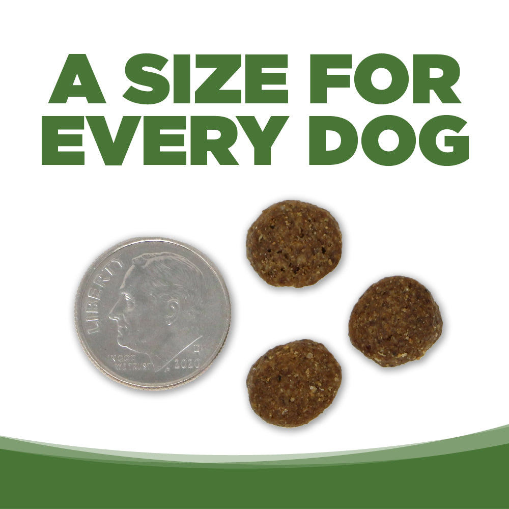 Dog treats next to a dime with text 'A size for every dog' on a white background