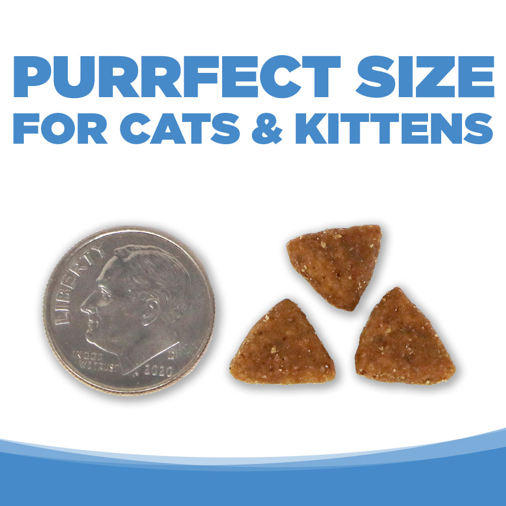 image showing kibble is smaller than a dime