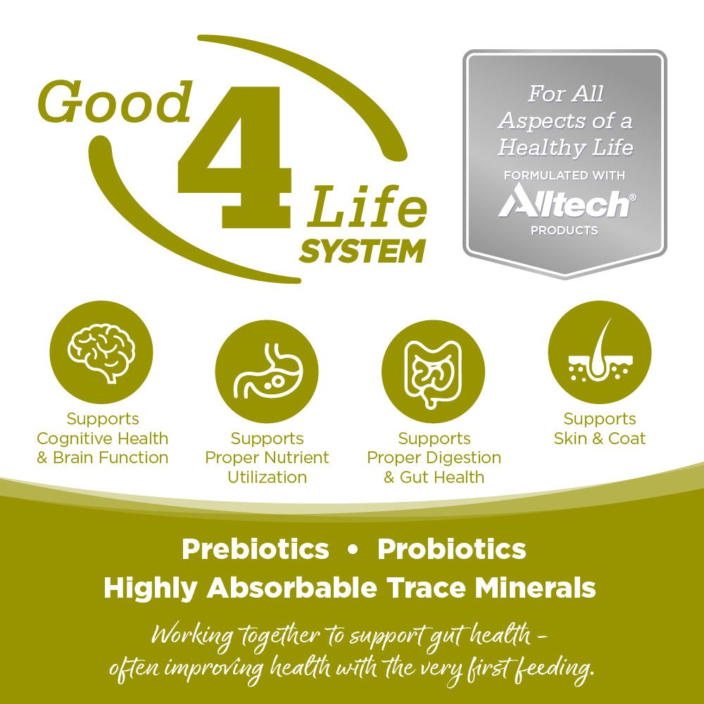 Good 4 Life SYSTEM

For All Aspects of a
Healthy Life 

FORMULATED WITH Nitech®
PRODUCTS

Supports Cognitive Health
& Brain Function

Supports Proper Nutrient
Utilization

Supports Proper Digestion & Gut Health

Supports Skin & Coat

Prebiotics . Probiotics
Highly Absorbable Trace Minerals
Working together to support gut health - often improving health with the very first feeding.