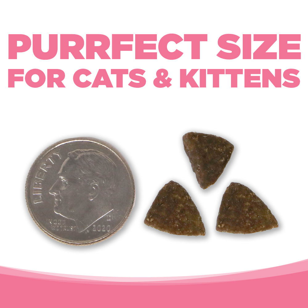 photo showing  kibble is smaller than a dime