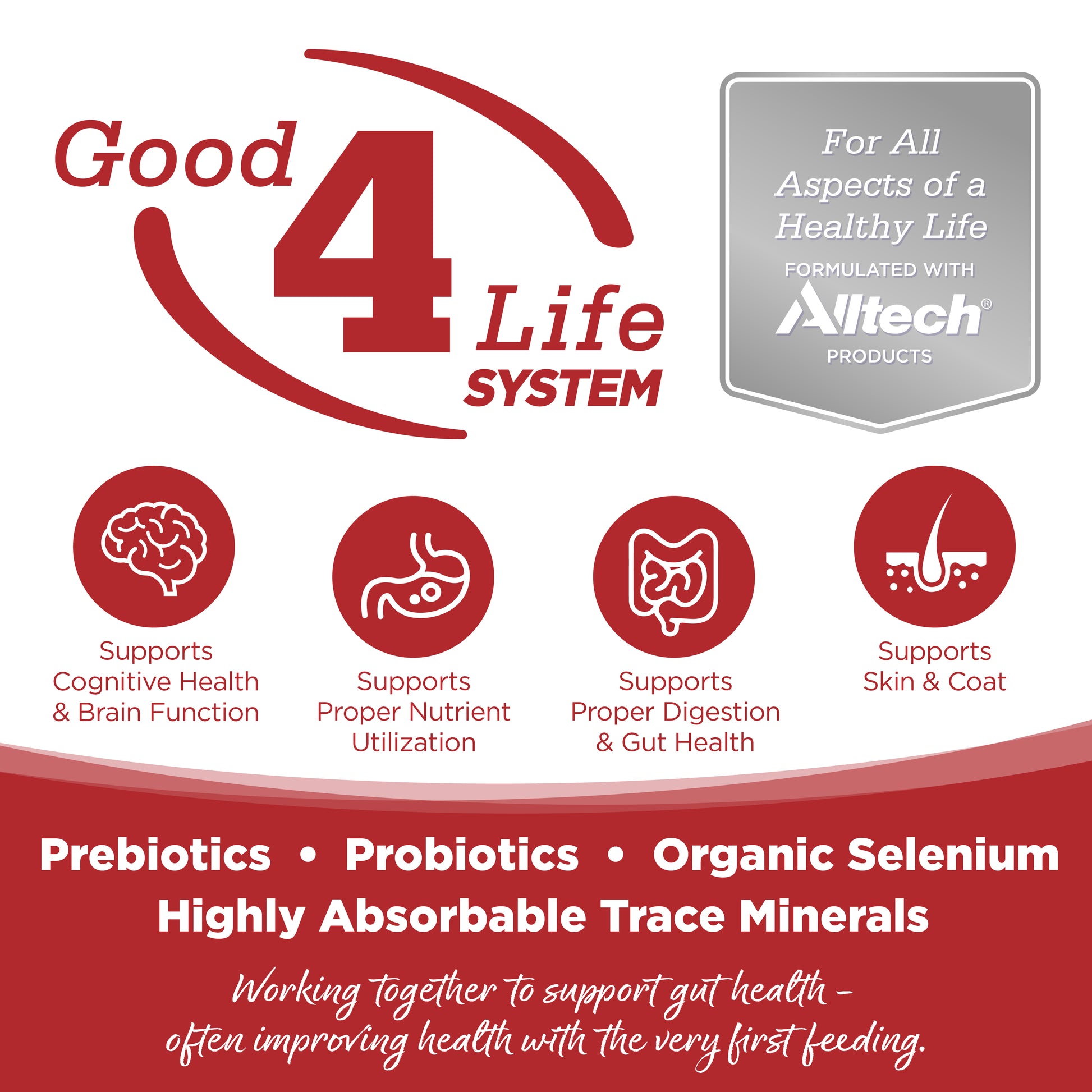 Good 4 Life: Our proprietary Good 4 Life system includes 4 key ingredients that work together to support gut health and the well-being of your pet.
