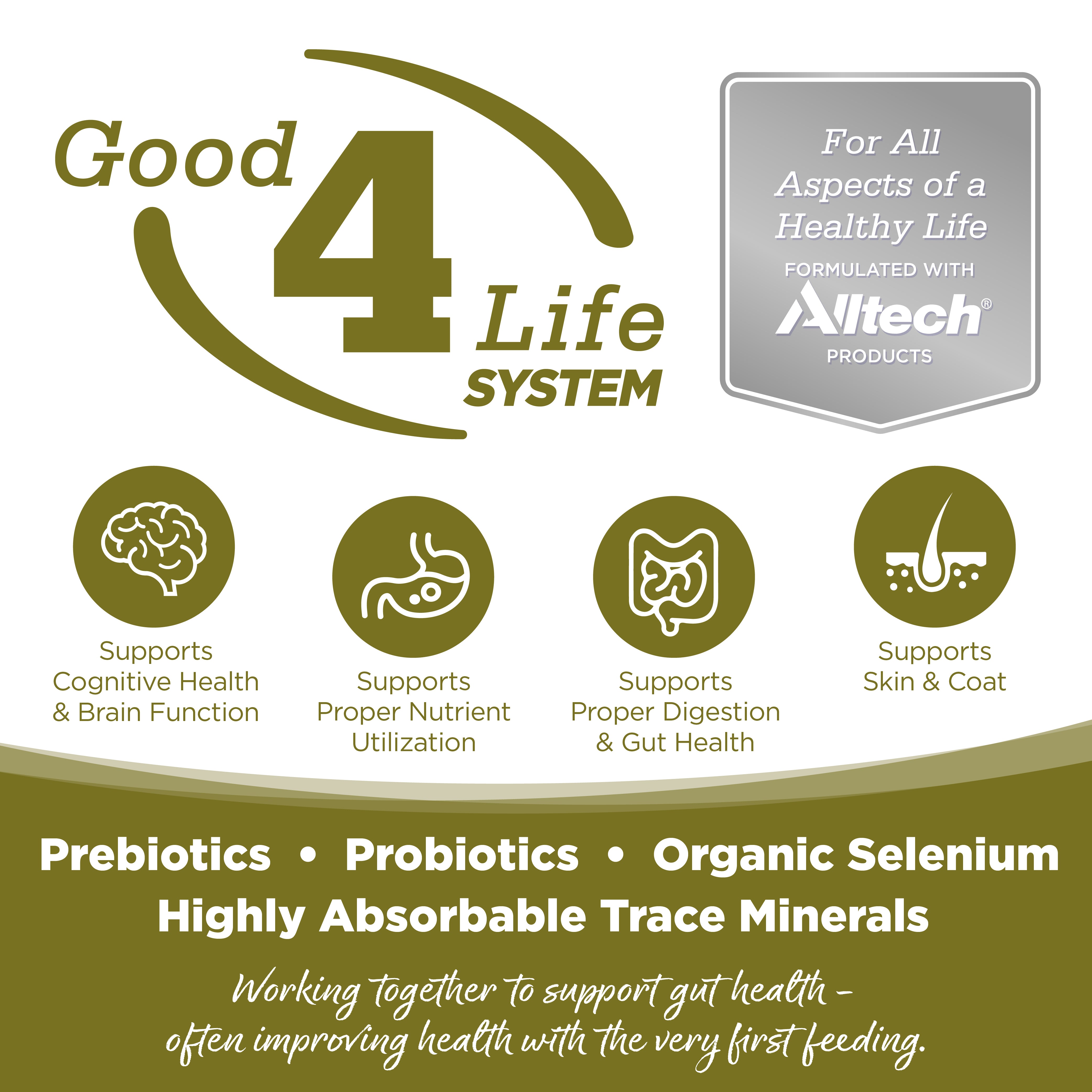 Good 4 Life: Our proprietary Good 4 Life system includes 4 key ingredients that work together to support gut health and the well-being of your pet.
