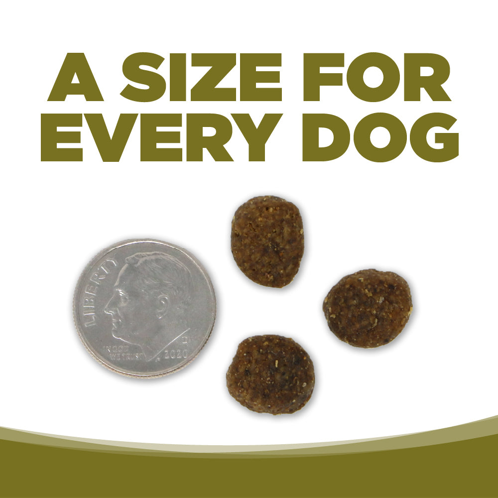 Dog food pellets next to a dime on a white background with text 'A Size for Every Dog'.