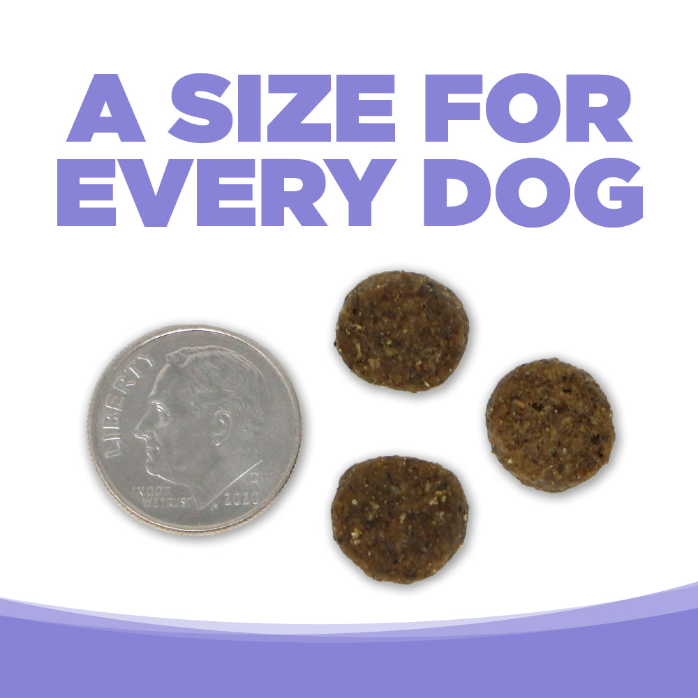 Dog food pellets next to a dime on a white background with text 'A Size for Every Dog'.