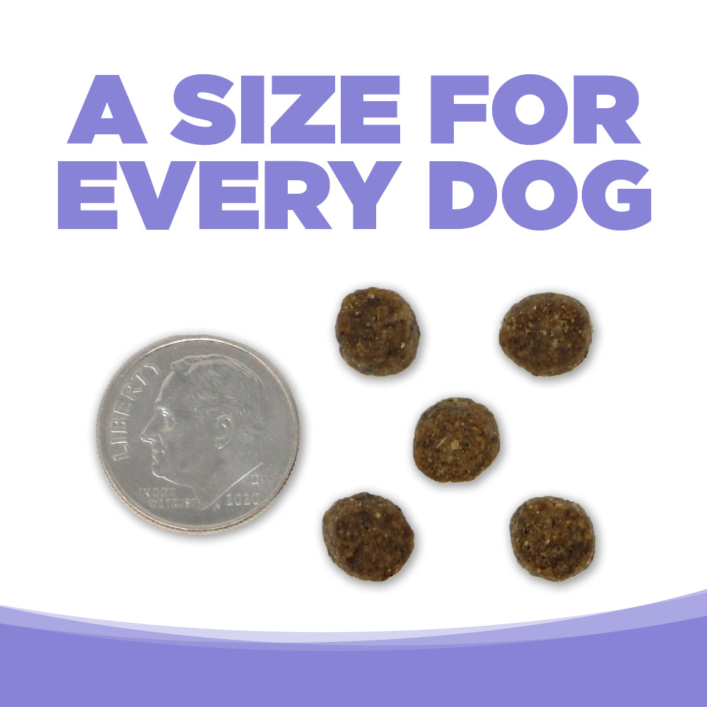 Dog food pellets next to a dime on a white background with text 'A Size for Every Dog'.