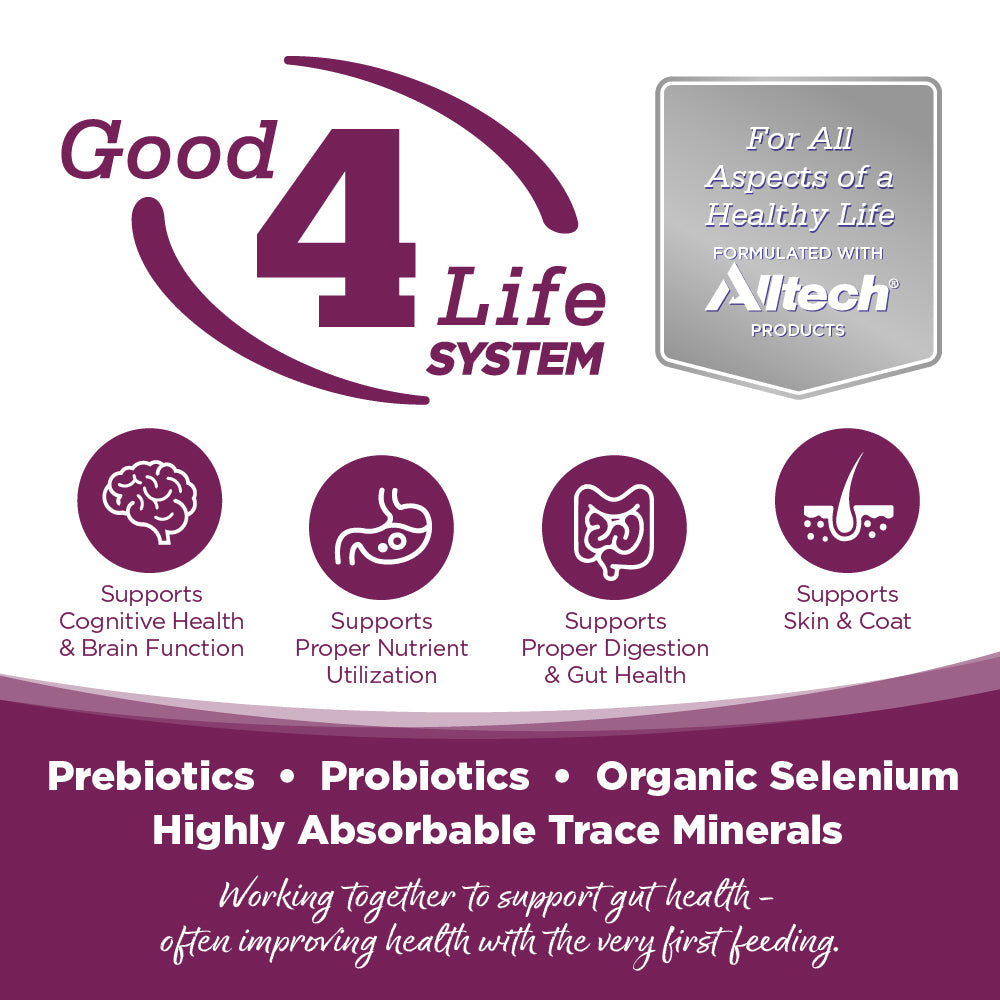 Advertisement for Good 4 Life System with icons and text about health benefits and ingredients.