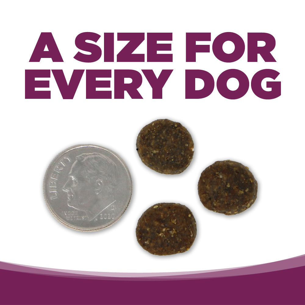Dog treats next to a dime with text 'A size for every dog' on a white background