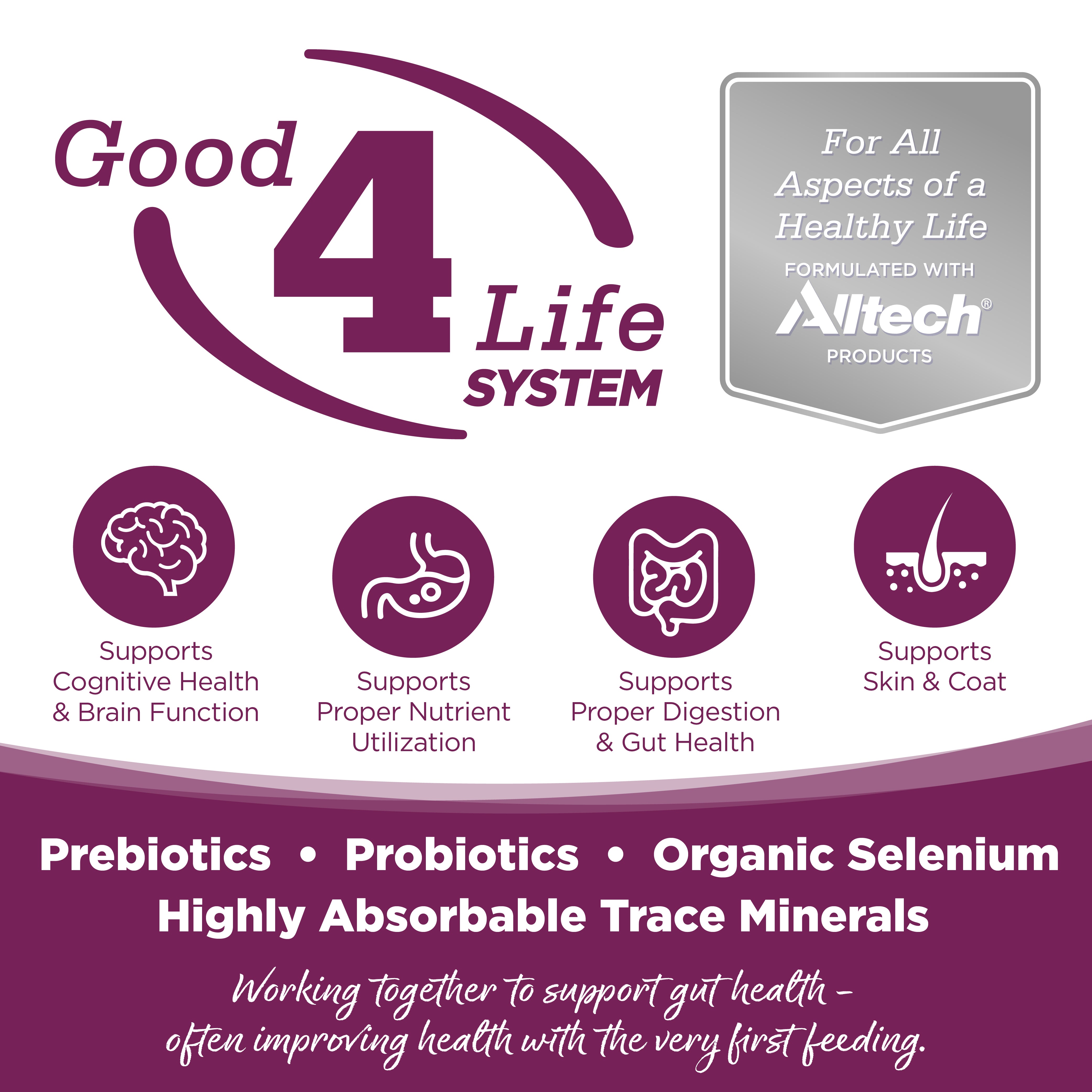 Good 4 Life: Our proprietary Good 4 Life system includes 4 key ingredients that work together to support gut health and the well-being of your pet.