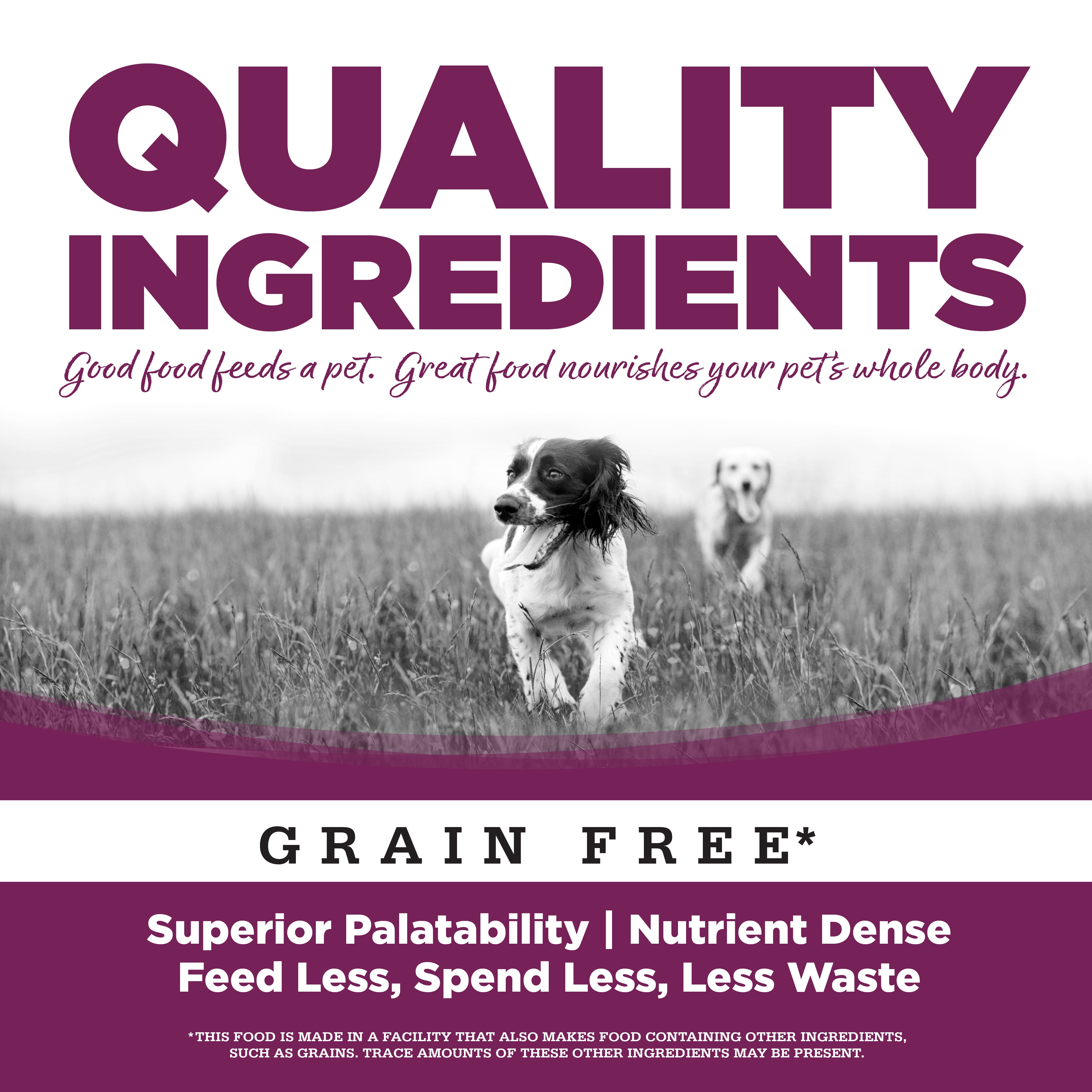 BUY PureVita Pork Entree Wet Dog Food | NutriSource Pet Foods