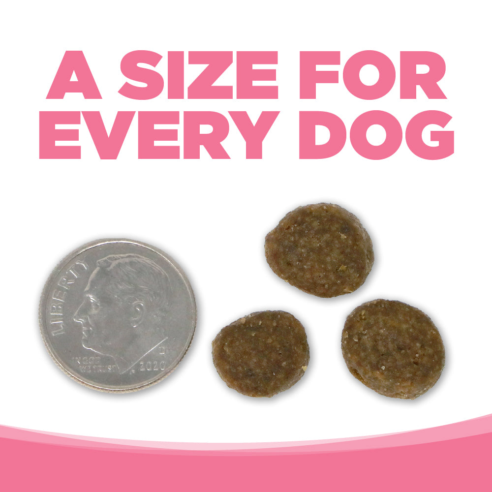 Photo of kibble being smaller than a dime