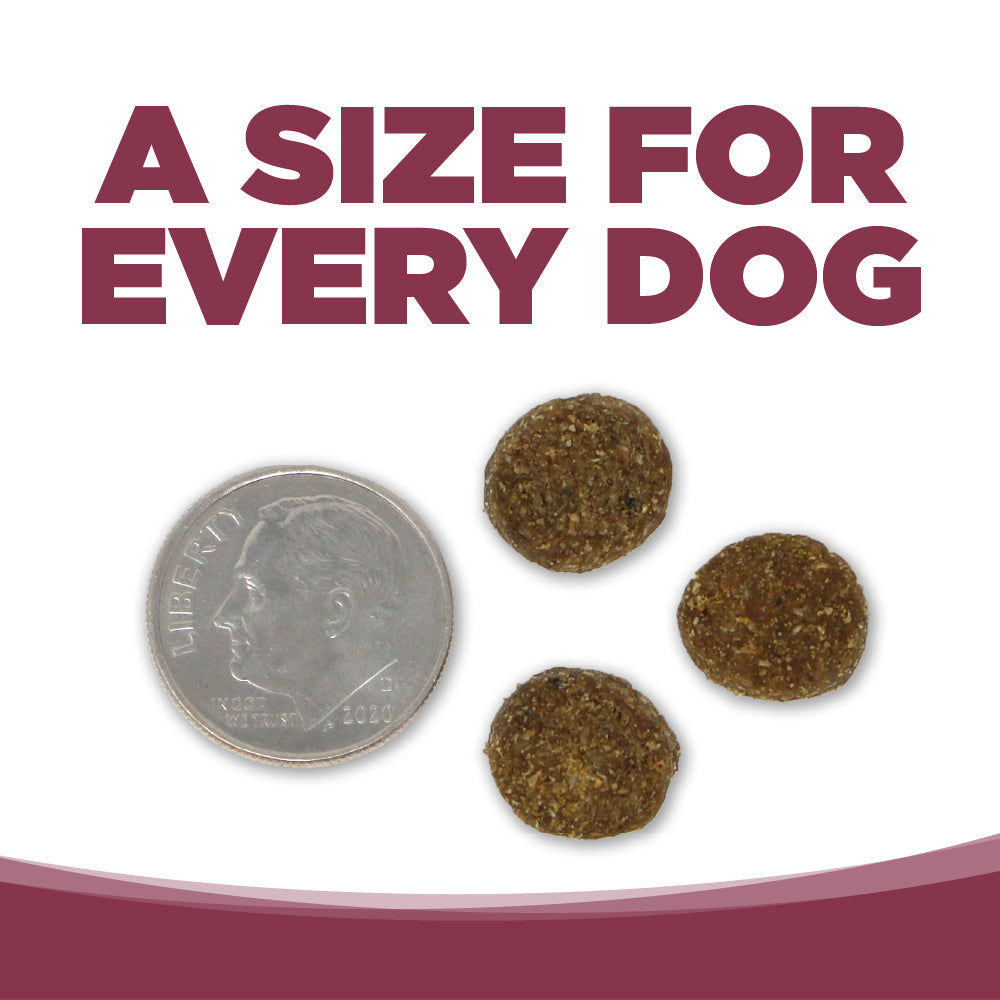 Dog treats next to a dime with text 'A size for every dog' on a white background