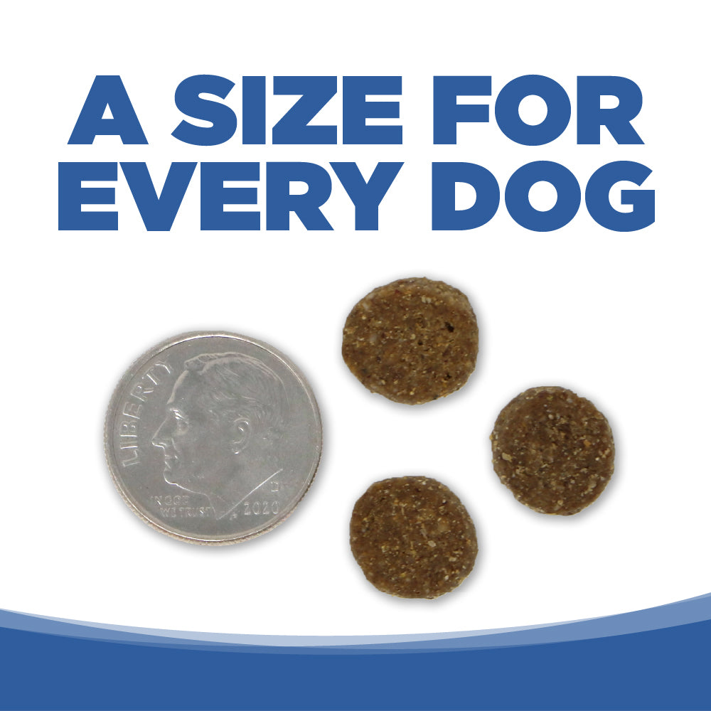 Dog treats next to a dime on a white background with text 'A Size for Every Dog'.