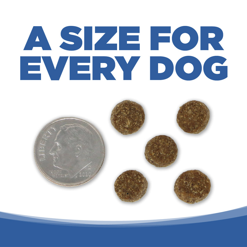 Dog treats next to a dime with text 'A size for every dog' on a white background