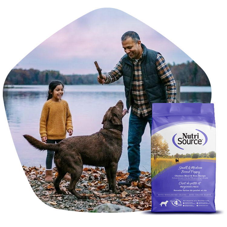 NutriSource® – Discover NutriSource Pet Foods