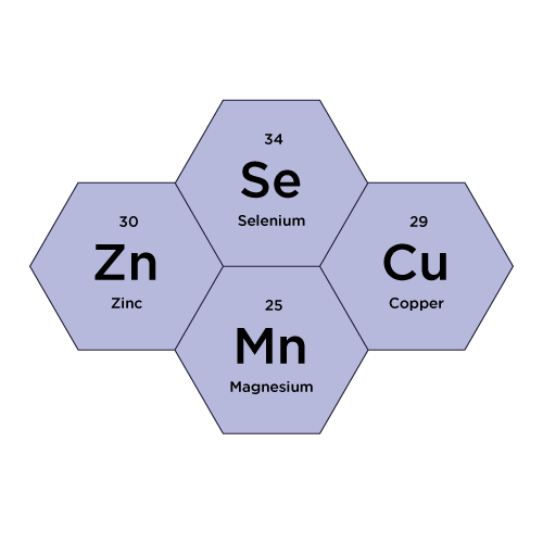 Hexagonal diagram with elements Zinc, Selenium, Copper, and Magnesium labeled on a light purple background.