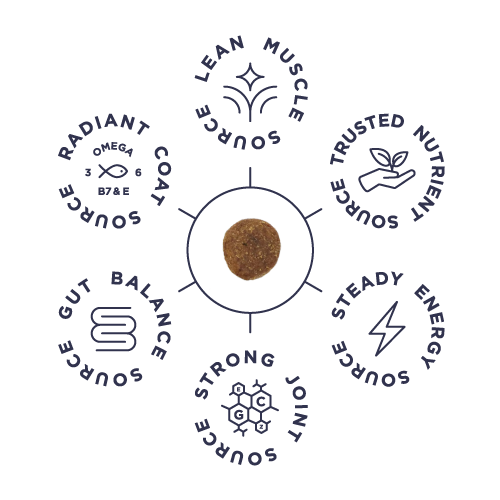 NutriSource®. The Source of Vitality. 