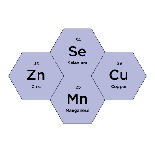Organic Minerals that Matter: Selenium, Copper, Manganese, Zinc