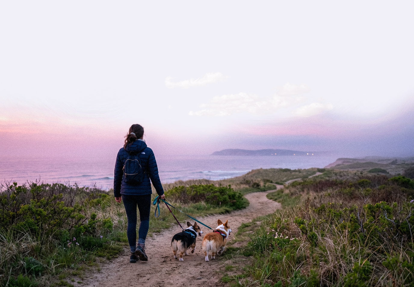 Person walking two dogs on a trail with a scenic ocean view at dusk