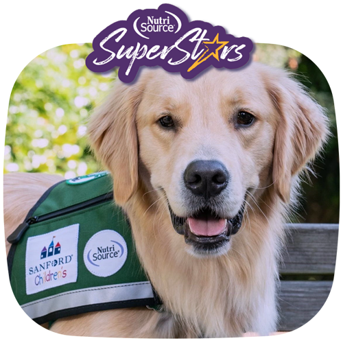 Dog wearing a green vest with logos, sitting outdoors with 'NutriSource® Super Stars' text above