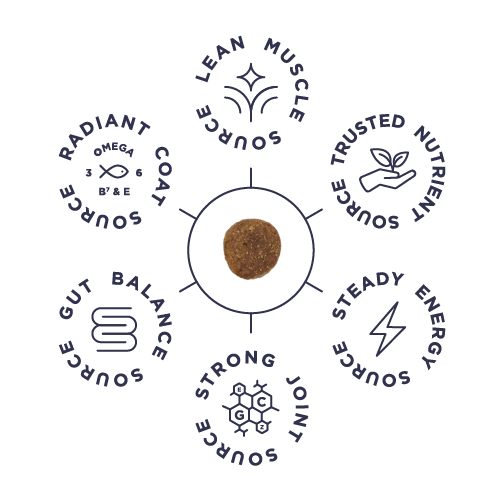 Circular design with various text and icons related to health and wellness