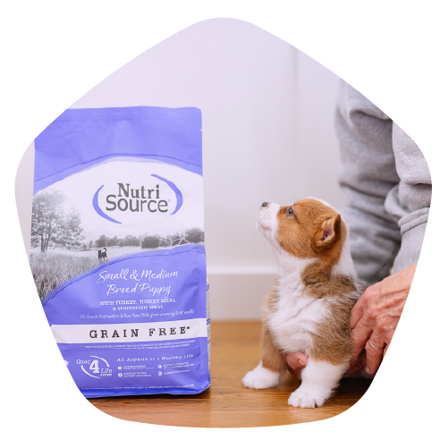 Puppy sitting next to bag of small and medium breed NutriSource® grain-free dog food